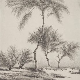 003