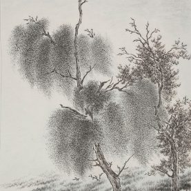 005