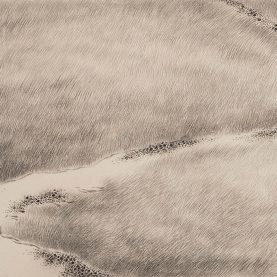 017