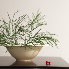 小坂明_HAKUJI BOWL