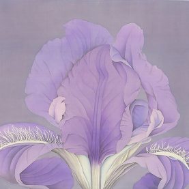 杨雁翎_欣