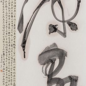 许静 源泉