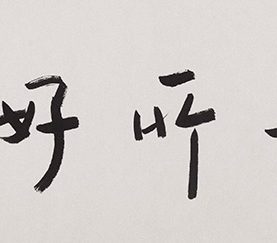 足吾所好