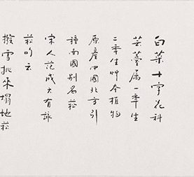 菘