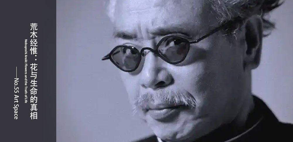 看圖說畫｜荒木經惟：花與生命的真相