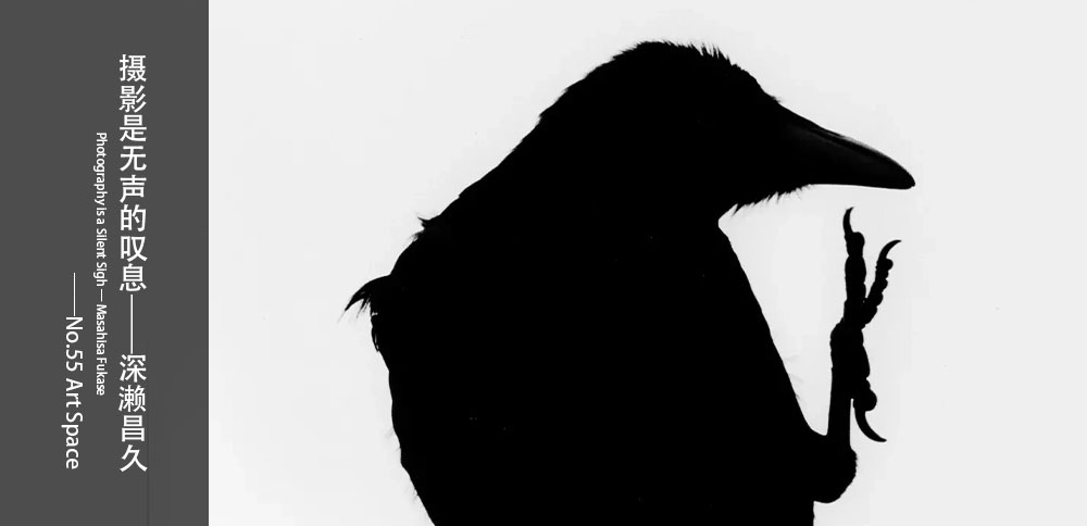 看圖說畫｜攝影是無聲的歎息——深濑昌久